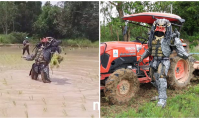 ชาวบ้านตะลึง พรีเดเตอร์ โผล่กลางทุ่งนาข้าว!! - WORLD OF BUZZ