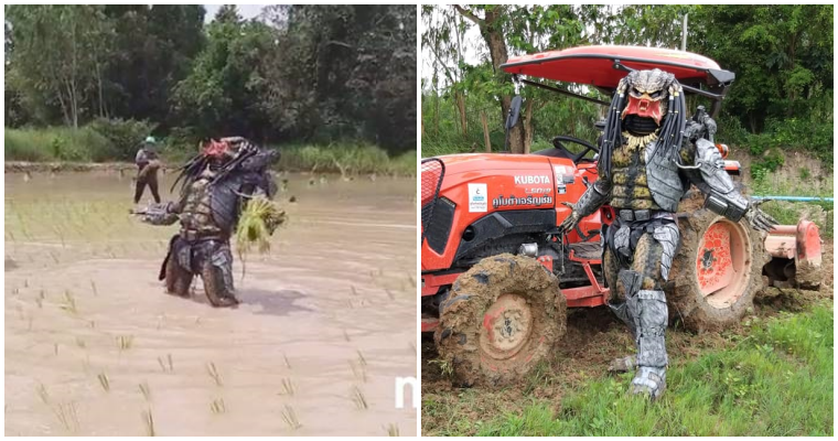 ชาวบ้านตะลึง พรีเดเตอร์ โผล่กลางทุ่งนาข้าว!! - WORLD OF BUZZ