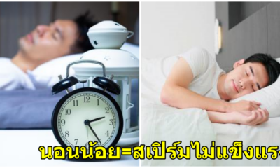 ผลการวิจัยพบว่า: ผู้ชายที่เข้านอนก่อน4ทุ่ม จะมีสเปิร์มแข็งแรงกว่าคนที่นอนดึกถึง4เท่า! - WORLD OF BUZZ