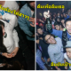 23 เรื่องที่หนุ่มๆสายปาร์ตี้เท่านั้นที่เข้าใจ - WORLD OF BUZZ 1