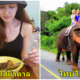 8 เรื่องราวของคนไทยที่ต่างชาติเห็นยังต้อง "งง" - WORLD OF BUZZ
