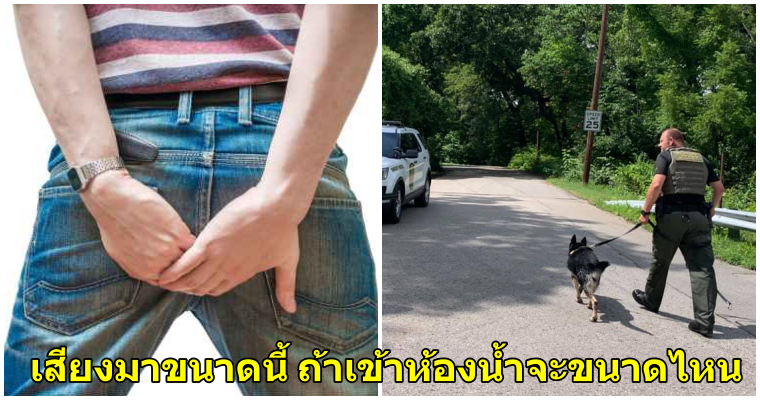 คนร้ายเผลอ "ตด" ในขณะซ่อนตัวจากตำรวจ จนเป็นเหตุให้โดนจับกุมตัวจนได้ - WORLD OF BUZZ