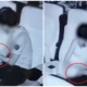 ภาพคู่รักที่กำลังพลอดรักกันในโรงหนัง ถูกจับภาพติดกล้องวงปิด แชร์ว่อนโซเชี่ยล - WORLD OF BUZZ
