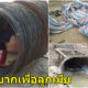 ภาพถ่ายของคนงานที่กำลังหลับอยู่ท่ามกลางวัสดุก่อสร้าง ทำให้เราได้รู้ว่าเรานั้นโชคดีมากแค่ไหน - WORLD OF BUZZ 2