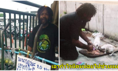 ลุงดำคนรักแมว ชายไร้บ้านยืนขายมะนาวเพื่อหาเงินช่วยเหลือแมวจรจัด - WORLD OF BUZZ