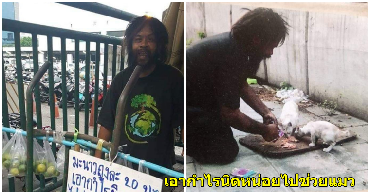 ลุงดำคนรักแมว ชายไร้บ้านยืนขายมะนาวเพื่อหาเงินช่วยเหลือแมวจรจัด - WORLD OF BUZZ