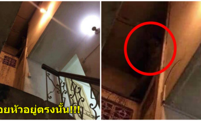 หลอนสุดๆ หนุ่มแชร์เรื่องราวขนหัวลุก ในหอพักที่ตัวเองพักอยู่ - WORLD OF BUZZ 1