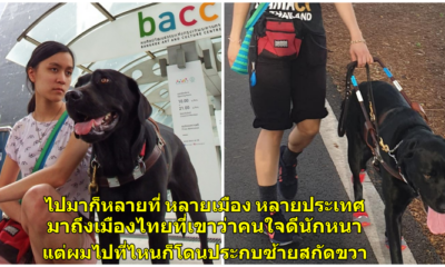 เผยเรื่องราวของน้องทรายผู้พิการทางสายตา และ ลูเตอร์ สุนัขนำทางของเธอ - WORLD OF BUZZ