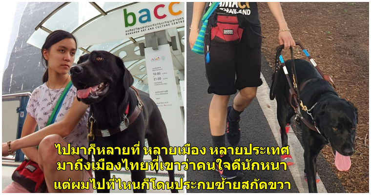 เผยเรื่องราวของน้องทรายผู้พิการทางสายตา และ ลูเตอร์ สุนัขนำทางของเธอ - WORLD OF BUZZ