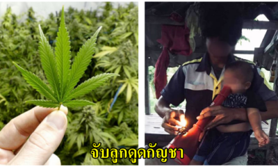 ชาวเน็ตวิจารณ์ยับ ภาพพ่อจับลูกน้อยนั่งตักดูดบ้องกัญชา ด้าน หมอแล็บแพนด้า เตือนเสพบ่อยๆ สมองพังคนละเรื่องกับใช้ทางการแพทย์ - WORLD OF BUZZ