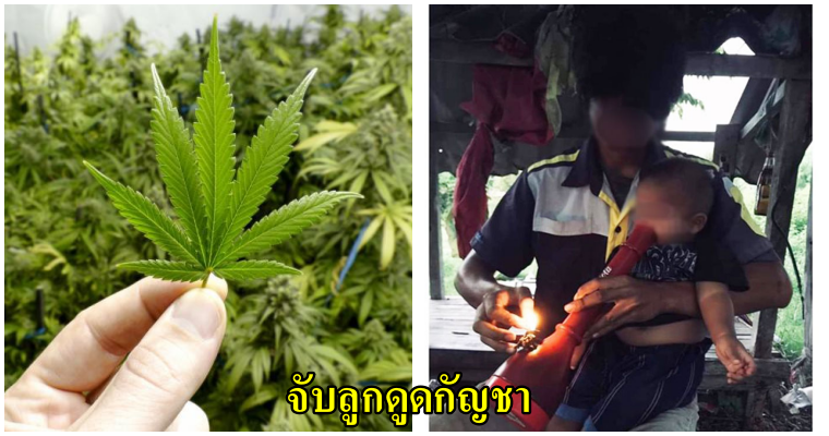 ชาวเน็ตวิจารณ์ยับ ภาพพ่อจับลูกน้อยนั่งตักดูดบ้องกัญชา ด้าน หมอแล็บแพนด้า เตือนเสพบ่อยๆ สมองพังคนละเรื่องกับใช้ทางการแพทย์ - WORLD OF BUZZ