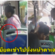 มนุษย์ป้าขึ้นรถเมล์ไม่มีที่ให้นั่ง จึงเบียดแทรกเข้าไปนั่งที่ตักเด็ก แบบไม่แคร์สายตาใคร - WORLD OF BUZZ