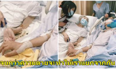รักนี้ตราบนิรันดร์ คุณตาและคุณยายป่วยหนัก นอนจับมือเคียงข้างครั้งสุดท้ายก่อนคุณตาจะจากไปตลอดกาล - WORLD OF BUZZ
