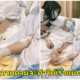 รักนี้ตราบนิรันดร์ คุณตาและคุณยายป่วยหนัก นอนจับมือเคียงข้างครั้งสุดท้ายก่อนคุณตาจะจากไปตลอดกาล - WORLD OF BUZZ