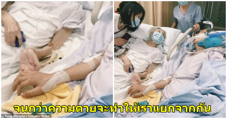 รักนี้ตราบนิรันดร์ คุณตาและคุณยายป่วยหนัก นอนจับมือเคียงข้างครั้งสุดท้ายก่อนคุณตาจะจากไปตลอดกาล - WORLD OF BUZZ