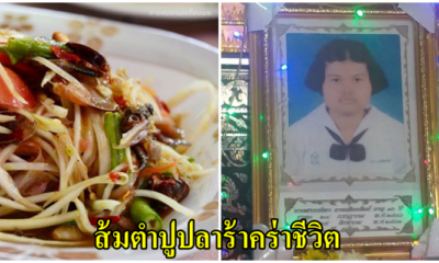 สลด!! เด็กหญิงเสียชีวิตหลังกินส้มตำปูปลาร้า ติดเชื้อท้องร่วงจนช็อคเสียชีวิต - WORLD OF BUZZ