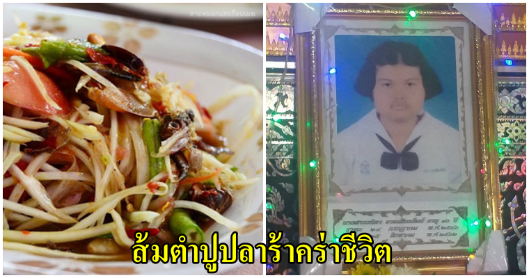 สลด!! เด็กหญิงเสียชีวิตหลังกินส้มตำปูปลาร้า ติดเชื้อท้องร่วงจนช็อคเสียชีวิต - WORLD OF BUZZ