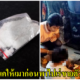 เด็กหญิง 11 ขวบ ถูกพี่สะไภ้บังคับดมเค ก่อนพาเร่ขายตัว จนติดเชื้อ"ซิฟิลิส"ระยะที่ 3 แถมขู่ห้ามบอกใครไม่งั้นจะทำร้าย - WORLD OF BUZZ 4
