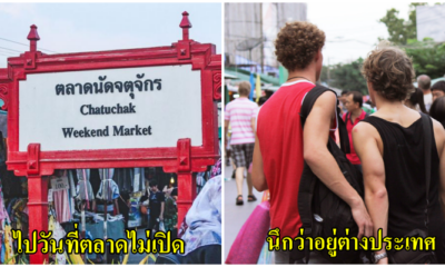 7 ข้อสำหรับคนที่ไปตลาดนัดจตุจักรเท่านั้นที่จะเข้าใจ - WORLD OF BUZZ