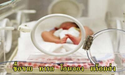 อึ้ง!! เพจเฟชบุ๊คขายทารกน้อย ทั้งแรกเกิด และมีการจองกันตั้งแต่อยู่ในท้อง โอนจองพร้อมส่ง อ้างเด็กเกิดจากแม่ที่ไม่พร้อม - WORLD OF BUZZ