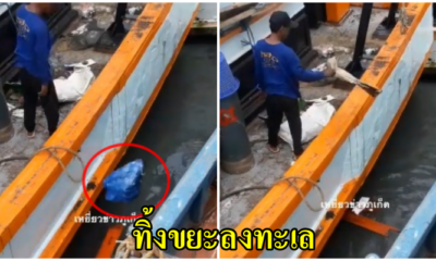 แฉคลิปวีดีโอพฤติกรรมของคนงานแพปลาที่ทิ้งขยะลงทะเล - WORLD OF BUZZ