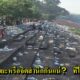 คนไทยหลังชมบั้งไฟพญานาค ทิ้งขยะเกลื่อนนับแสน! โซเชียลถาม ไหนอยากเป็นแบบญี่ปุ่น? - WORLD OF BUZZ 1