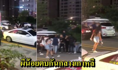คลิปฉาว! สาวไทยสร้างชื่อไกลแดนกิมจิ ตบกันกลางเกาหลีแย่งโอปป้า ลั่น!! "คนนี้ผัวหนู" - WORLD OF BUZZ