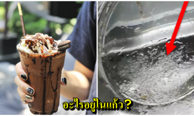 หนุ่มซื้อโกโก้ปั่นร้านดัง!! ถึงกับช็อคกับของแถมที่ได้มา หลังดื่มไปแล้วกว่าครึ่งแก้ว - WORLD OF BUZZ