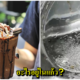 หนุ่มซื้อโกโก้ปั่นร้านดัง!! ถึงกับช็อคกับของแถมที่ได้มา หลังดื่มไปแล้วกว่าครึ่งแก้ว - WORLD OF BUZZ