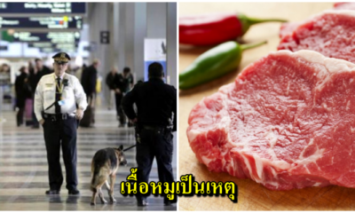 ออสเตรเลียเนรเทศ ยกเลิกวีซ่าสาวเวียดนาม เพราะแอบซุกเนื้อหมูเข้าประเทศ - WORLD OF BUZZ