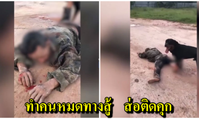 คลิปว่อน เจ้าของปล่อยร็อตไวเลอร์ ขย้ำคนสติไม่ดีจนลึกถึงกระดูก ทนายชี้ทำแบบนี้ถึงคุก ! - WORLD OF BUZZ