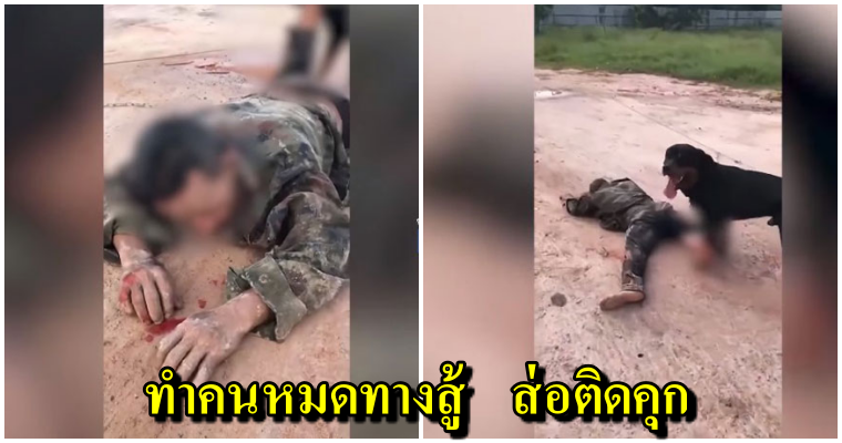 คลิปว่อน เจ้าของปล่อยร็อตไวเลอร์ ขย้ำคนสติไม่ดีจนลึกถึงกระดูก ทนายชี้ทำแบบนี้ถึงคุก ! - WORLD OF BUZZ
