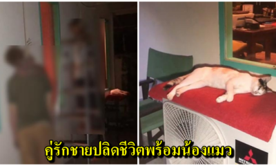 ชายไทยผูกคอดับพร้อมคู่รักชายชาวนิวซีแลนด์ เครียดปัญหาเรื่องเงิน พบบีบคอแมวตัวโปรดตาย ทิ้งจดหมายเขียนชื่อเจ้าหนี้ - WORLD OF BUZZ