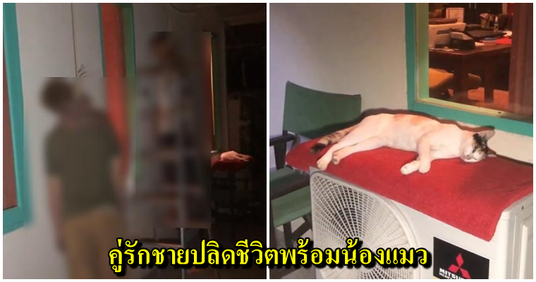 ชายไทยผูกคอดับพร้อมคู่รักชายชาวนิวซีแลนด์ เครียดปัญหาเรื่องเงิน พบบีบคอแมวตัวโปรดตาย ทิ้งจดหมายเขียนชื่อเจ้าหนี้ - WORLD OF BUZZ