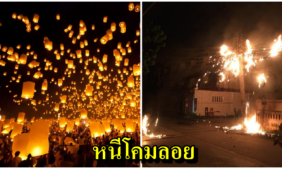 ดับกันวุ่น! โคมลอยยี่เป็งทำพิษ ตกใส่สายไฟ-กองเป็นขยะริมถนน เชียงใหม่ยกเลิก 151 เที่ยวบิน ต้องกำหนดพื้นที่ห้าม - WORLD OF BUZZ