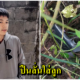 พ่อแม่ทะเลาะกันกลางถนน ลูกชายวัย17 เข้าไปห้าม โดนลูกหลงถูกพ่อยิงก่อนสิ้นใจที่รพ. - WORLD OF BUZZ