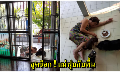 สาวช็อค กลับมาบ้านเห็นแม่นอนฟุบที่พื้น ที่แท้แค่นอนป้อนข้าวหมา - WORLD OF BUZZ