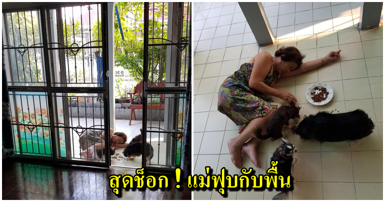 สาวช็อค กลับมาบ้านเห็นแม่นอนฟุบที่พื้น ที่แท้แค่นอนป้อนข้าวหมา - WORLD OF BUZZ