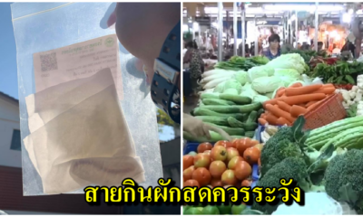 อวสานอาหารเย็น!! หนุ่มไอกลางดึก รู้สึกอะไรติดคอ แต่พอคีบออกมาดูพบเป็นพยาธิยาว6นิ้ว - WORLD OF BUZZ 2