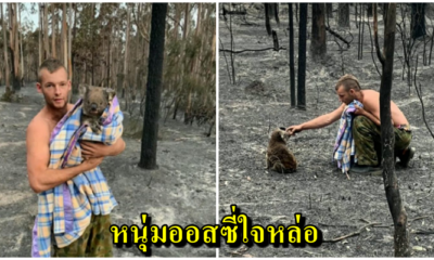 ชายหนุ่มผู้เสียสละ ไม่ยอมอพยพ แม้ถูกแจ้งเป็นพื่นที่เสี่ยงภัย อยู่ต่อเพื่อช่วยโคอาลาจากไฟป่า - WORLD OF BUZZ 5