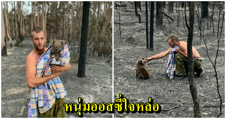 ชายหนุ่มผู้เสียสละ ไม่ยอมอพยพ แม้ถูกแจ้งเป็นพื่นที่เสี่ยงภัย อยู่ต่อเพื่อช่วยโคอาลาจากไฟป่า - WORLD OF BUZZ 5