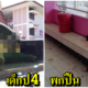 สลด!! เด็ก ป.4 พกปืนไปโรงเรียน ลั่นใส่เพื่อนสาหัส กลางโรงเรียนดังเมืองโคราช - WORLD OF BUZZ 4