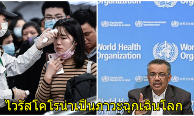 องค์การอนามัยโลก (WHO) ยกระดับ”ไวรัสโคโรนา”เป็นภาวะฉุกเฉินโลก หลังพบติดเชื้อคนสู่คนเคสแรก - WORLD OF BUZZ
