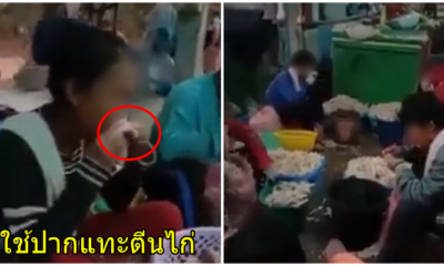 อวสานคนชอบกินเล็บมือนาง ! บุกโรงงานหนองคาย ผงะ!พบคนงานใช้ปากกัดตีนไก่ - WORLD OF BUZZ
