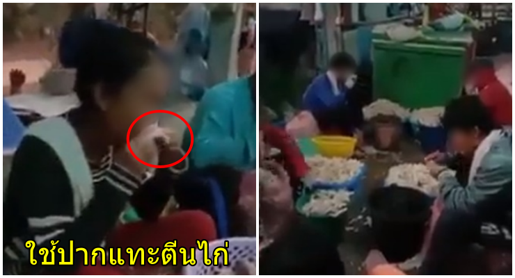 อวสานคนชอบกินเล็บมือนาง ! บุกโรงงานหนองคาย ผงะ!พบคนงานใช้ปากกัดตีนไก่ - WORLD OF BUZZ