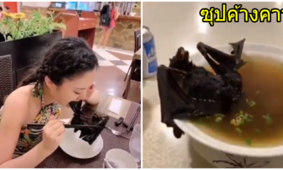 เปิดคลิปซุปค้างคาว สไตล์ไชน่า คาดอาจเป็นต้นเหตุโคโรน่าไวรัส !! - WORLD OF BUZZ 1