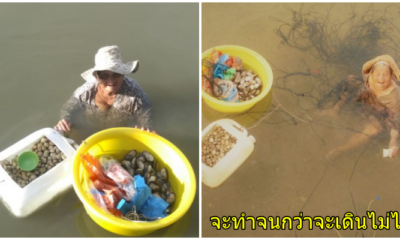 เพราะลูกเราไม่เหมือนใคร "หญิงชรา 85 ปีจำใจลงงมหอย"หาเงินเลี้ยงลูกพิการสมอง จะทำจนกว่าจะเดินไม่ได้ - WORLD OF BUZZ