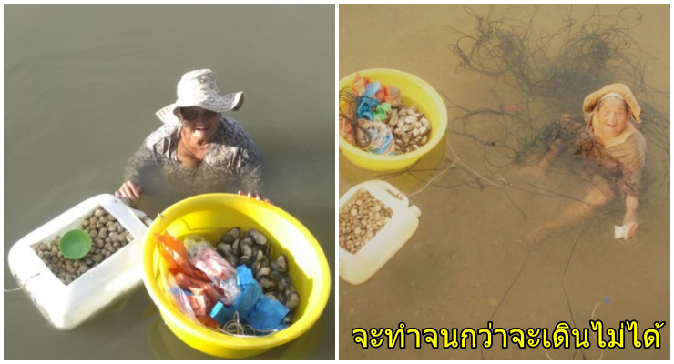 เพราะลูกเราไม่เหมือนใคร "หญิงชรา 85 ปีจำใจลงงมหอย"หาเงินเลี้ยงลูกพิการสมอง จะทำจนกว่าจะเดินไม่ได้ - WORLD OF BUZZ