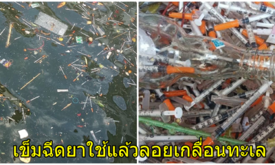 ชาวบ้านผวาเชื้อโรค! พบเข็มฉีดยา-หลอดเก็บเลือดใช้แล้ว ลอยเกลื่อนทะเลแสมสาร - WORLD OF BUZZ