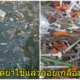 ชาวบ้านผวาเชื้อโรค! พบเข็มฉีดยา-หลอดเก็บเลือดใช้แล้ว ลอยเกลื่อนทะเลแสมสาร - WORLD OF BUZZ